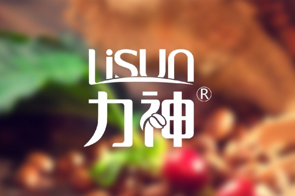 海口力神企業(yè)股份有限公司